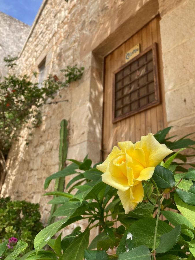 مبيت وإفطار إيسبيكا Vinciucci المظهر الخارجي الصورة